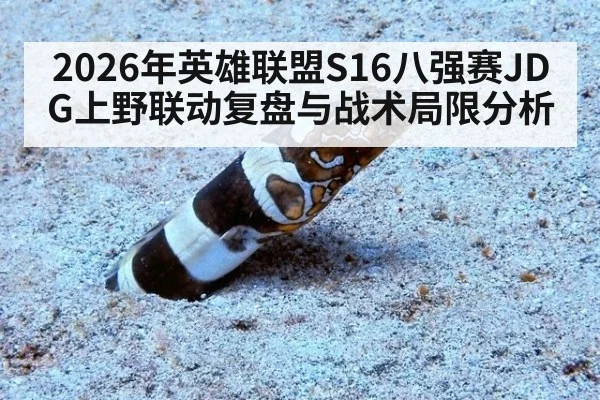 2026年英雄联盟S16八强赛JDG上野联动复盘与战术局限分析